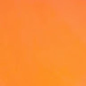 Meet your Posher, Kendra